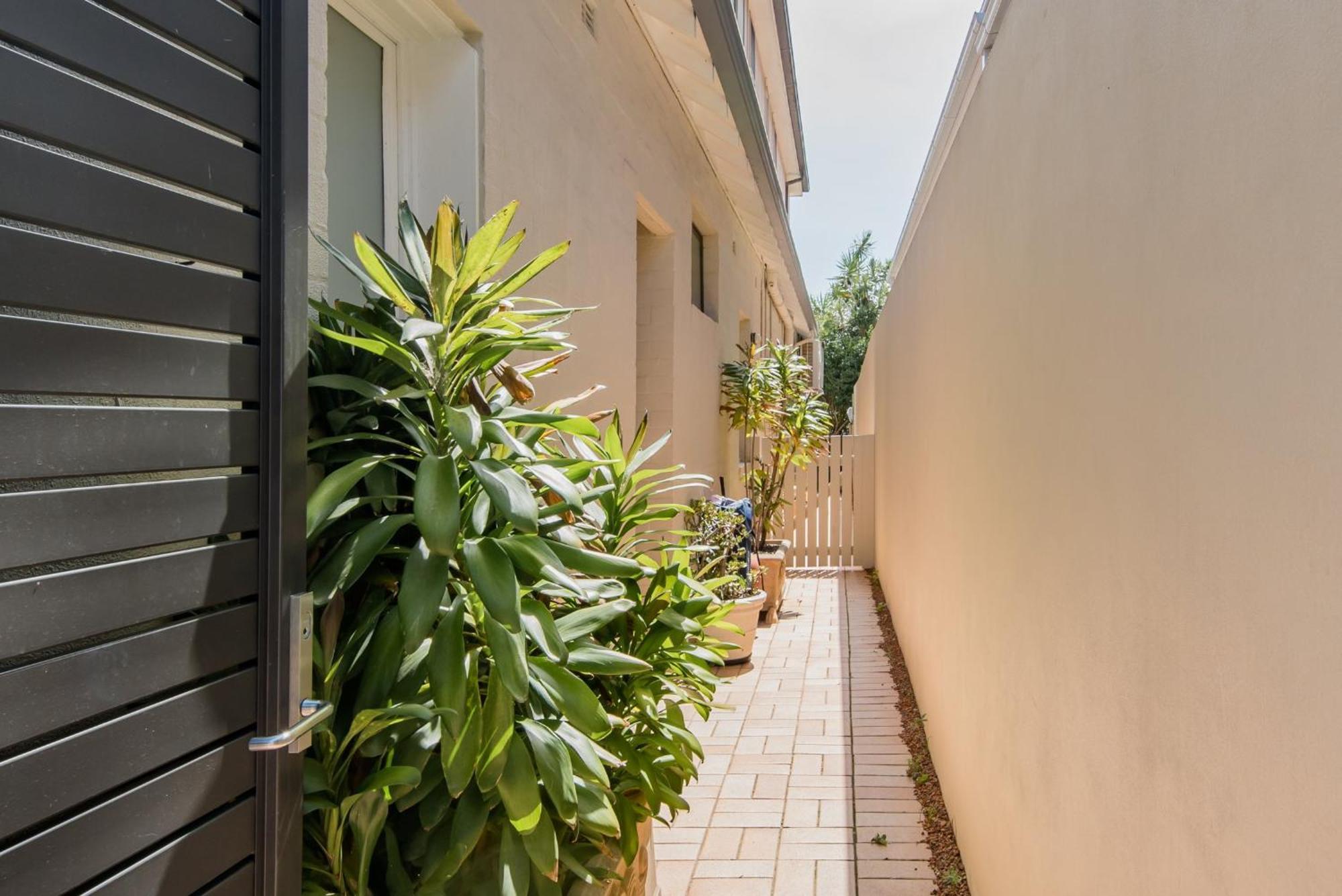 Holidayrento The Palm House Bondi Sydney Exterior photo